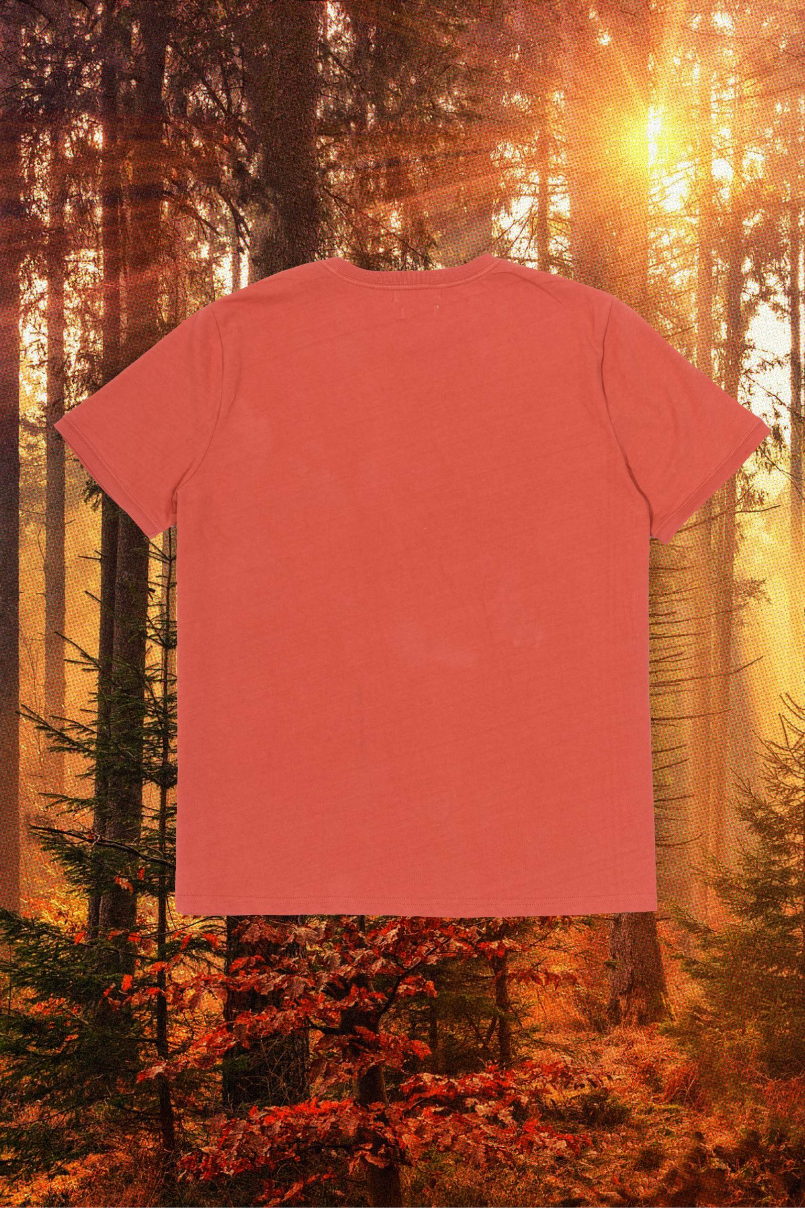 Regenerative Short Sleeve Tee | Rust - Image 2